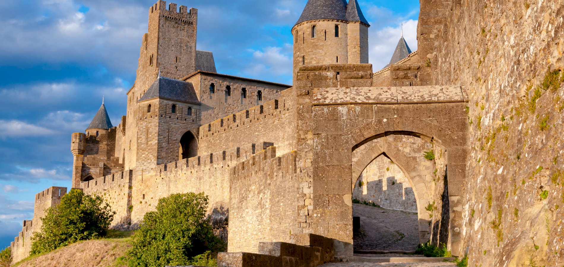 Ophorus Tours - Occitanie
