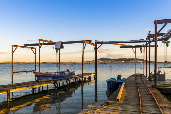 Ophorus Tours - From Sète Port Walking Tour, Oyster tasting & Languedoc wines private