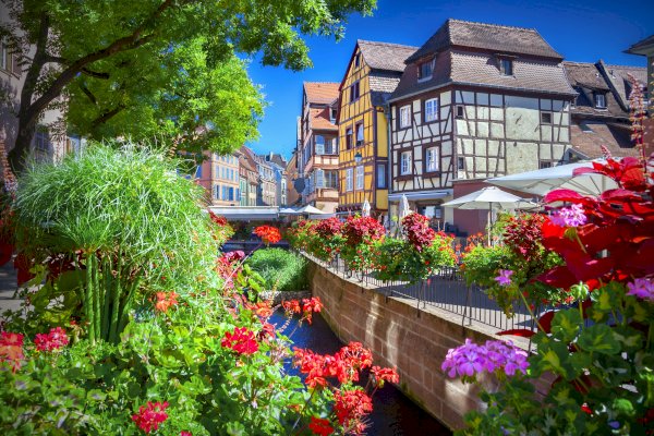 Ophorus Tours - Fairytale Alsace: Colmar, Villages & Haut Koenigsbourg from Mulhouse