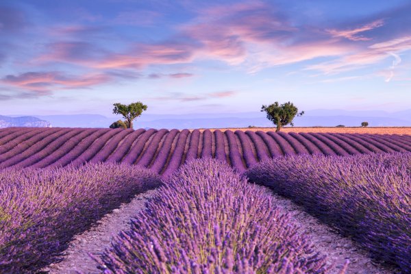 Ophorus Tours - Unveiling Provence: Private Package based in Aix-en-Provence
