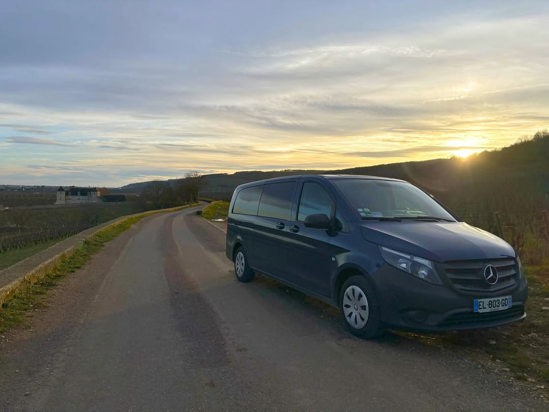  feed Ophorus instagram