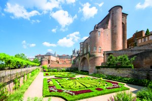 Ophorus Blog - Instagram Giveaway – Terms & Conditions (April 2025)