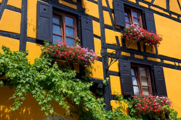 Ophorus Tours - Kehl to Alsace Treasures – Private Tour for Rhine River Cruises