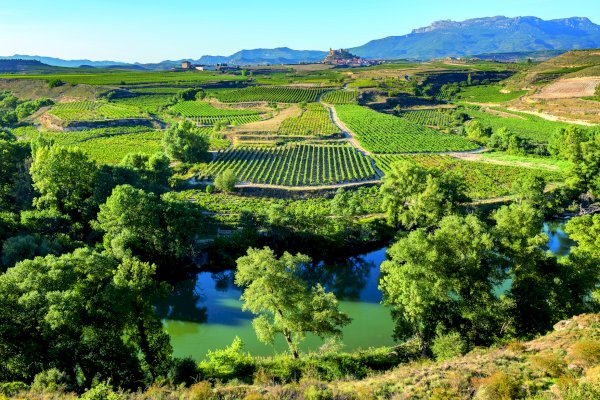 Ophorus Tours - Bordeaux to San Sebastian: 7-Day Private Culinary Coastline Escape