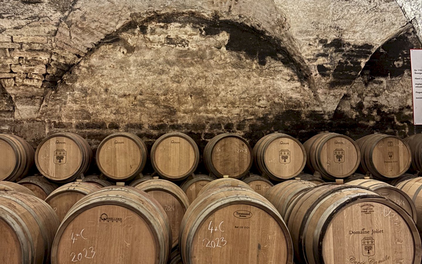 Ophorus Tours - Dijon Wine Tours: Côte de Nuits Half-Day Small Group Excursion