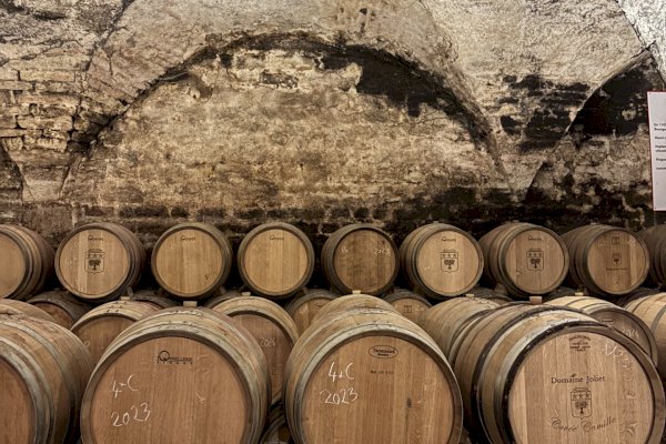 Ophorus Tours - Dijon Wine Tours: Côte de Nuits Half-Day Small Group Excursion