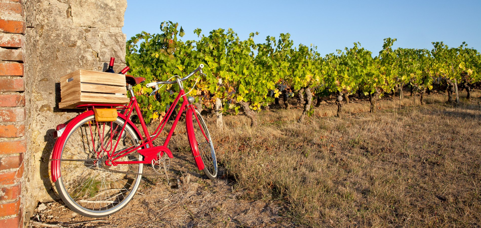 Ophorus Tours - Day Trips