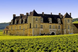Ophorus Blog - Burgundy Travel Guide: Wine, Villages & Heritage at a Refined Pace (2026)
