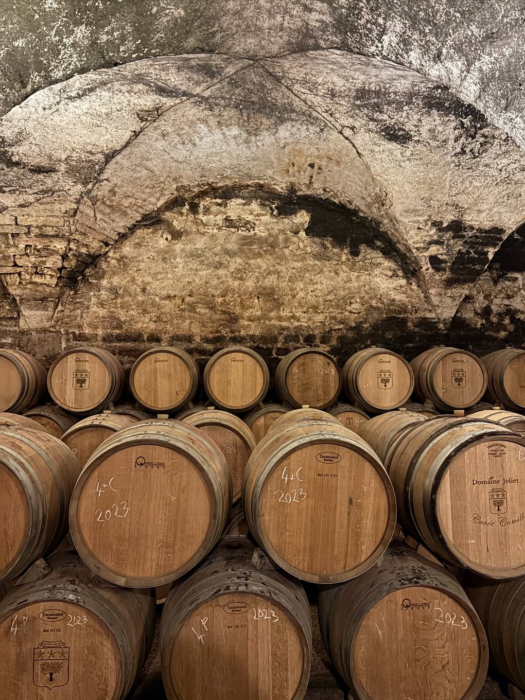  feed Ophorus instagram